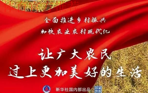 扎实推进精准帮扶 体育赋能乡村振兴 扎实推进精准帮扶 体育赋能乡村振兴